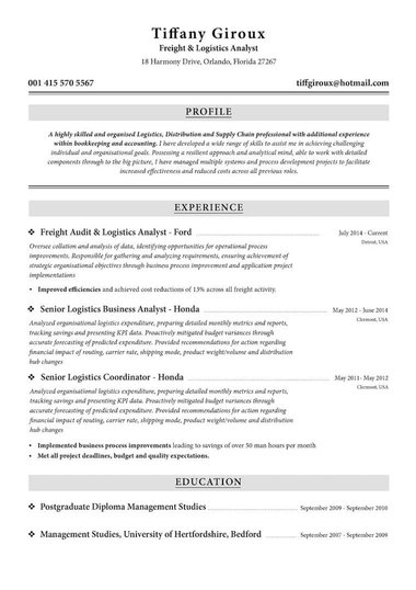 Profesional plantilla de currículum Tradicional